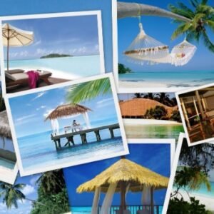 Holiday Packages
